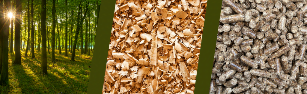 Processus de création de granulés de bois Français pour Gard'Bois